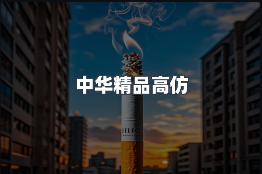 中华精品高仿